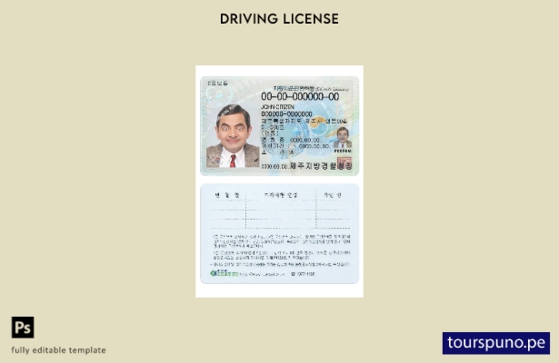 Plantilla de licencia de conducir de Corea del Sur lista para imprimir